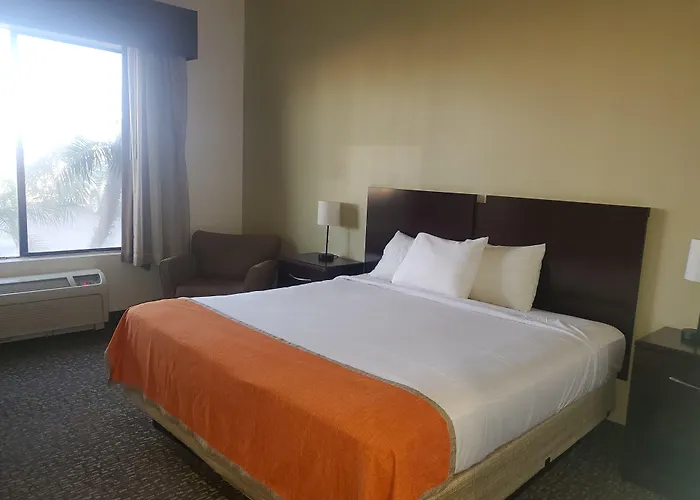 Hotel Spark By Hilton Phoenix East